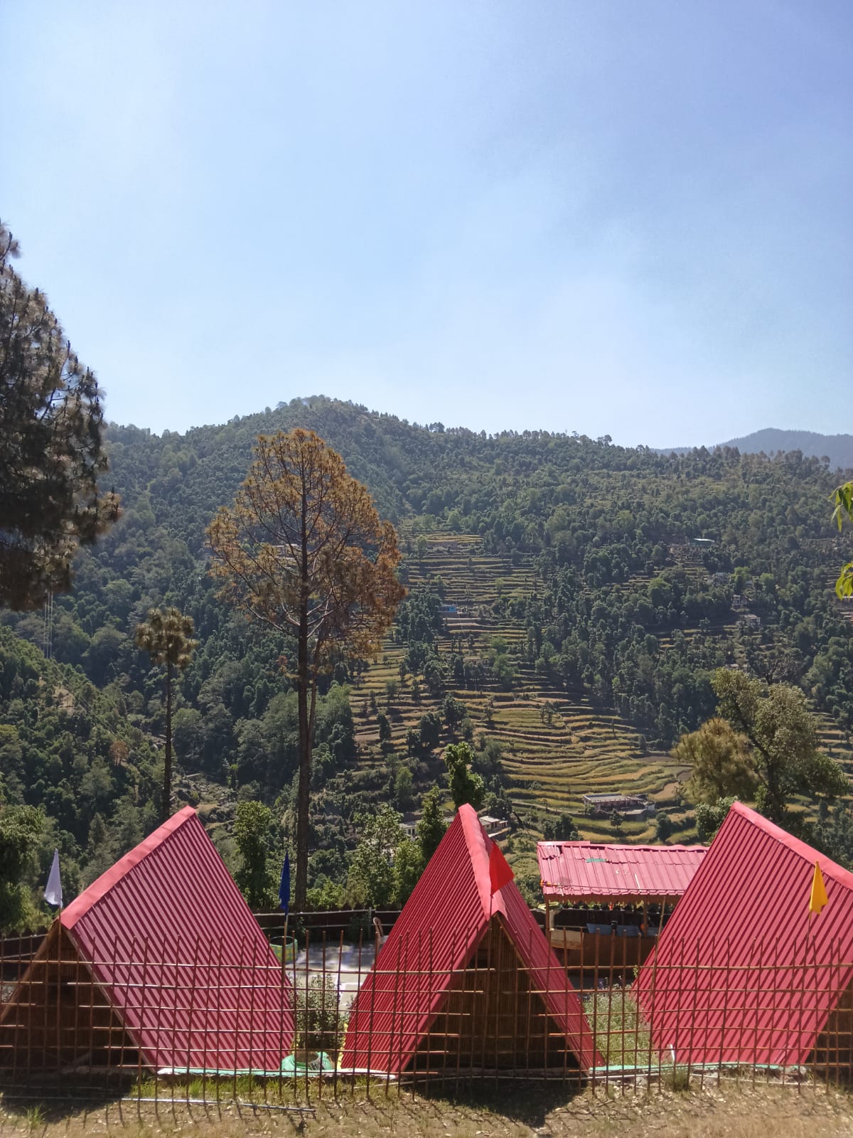 Authentic Himalayan homestays